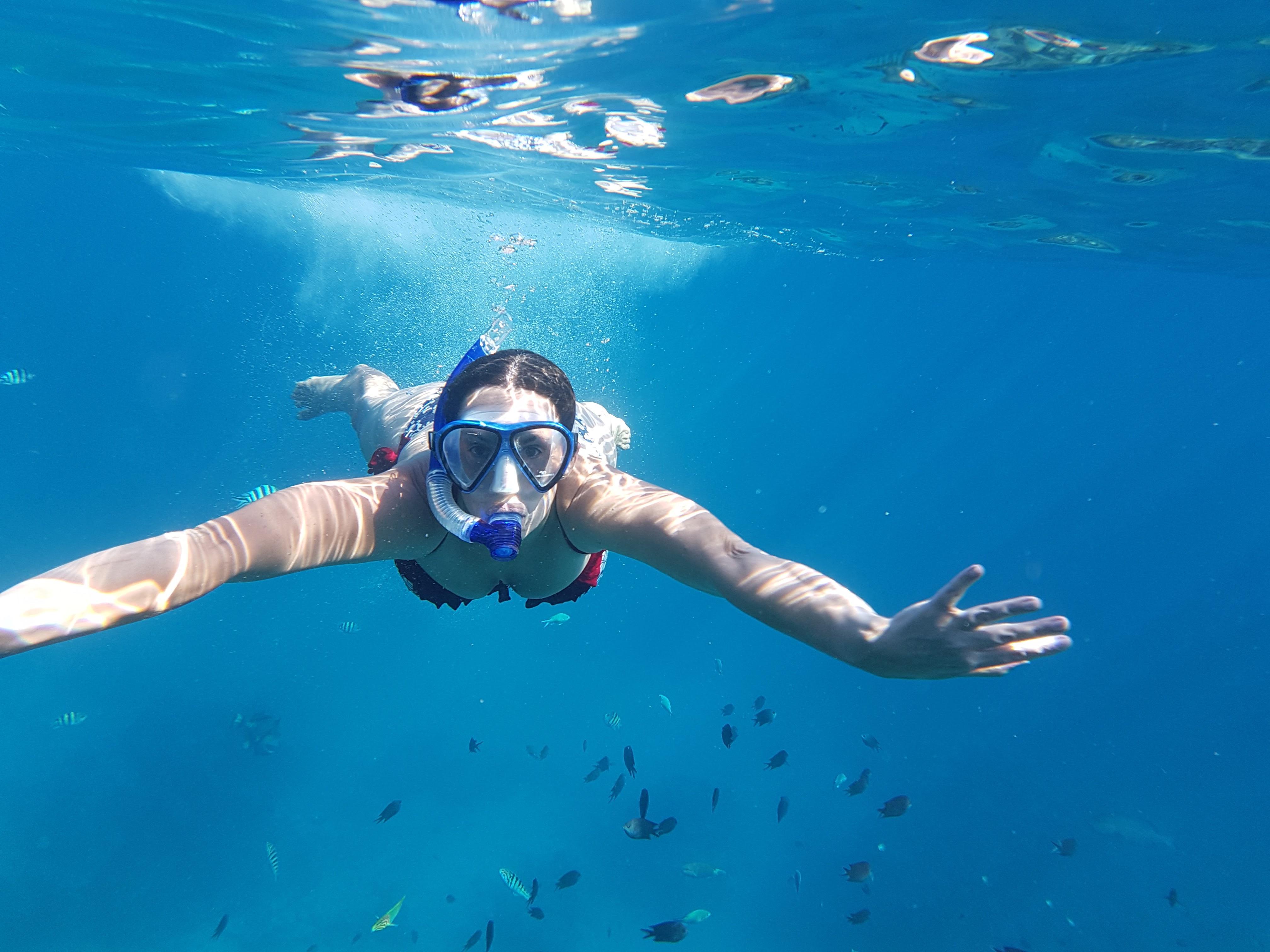 Go snorkelling on a tropical island